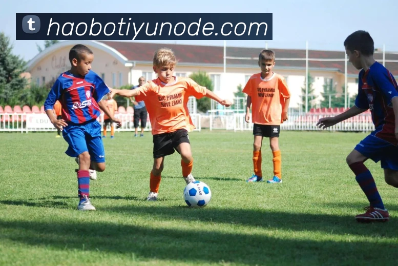 好博体育平台生态图